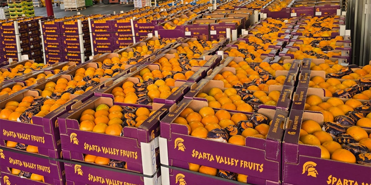 Le arance non vanno più in vacanza, riscoprono il piacere dei mesi caldi